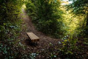 Grajska pot_1  (Arhiv Občine Kozje)